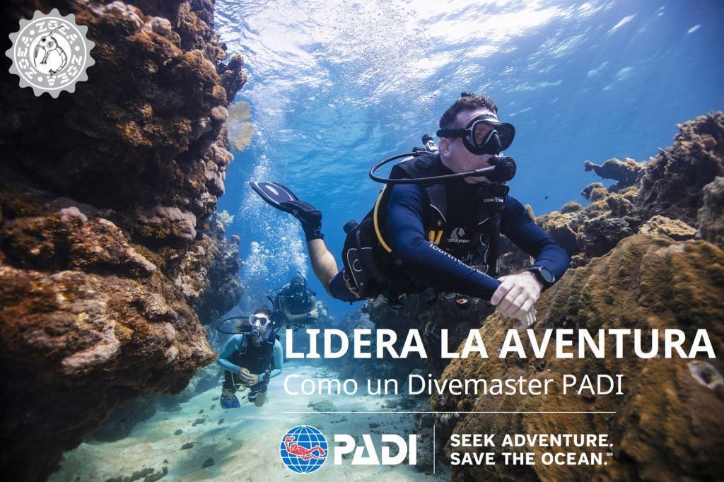 Curso de Buceo Divemaster PADI