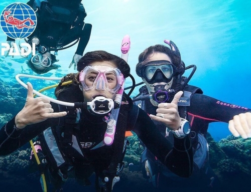 ¿Cuánto cuesta un curso de buceo en Madrid?