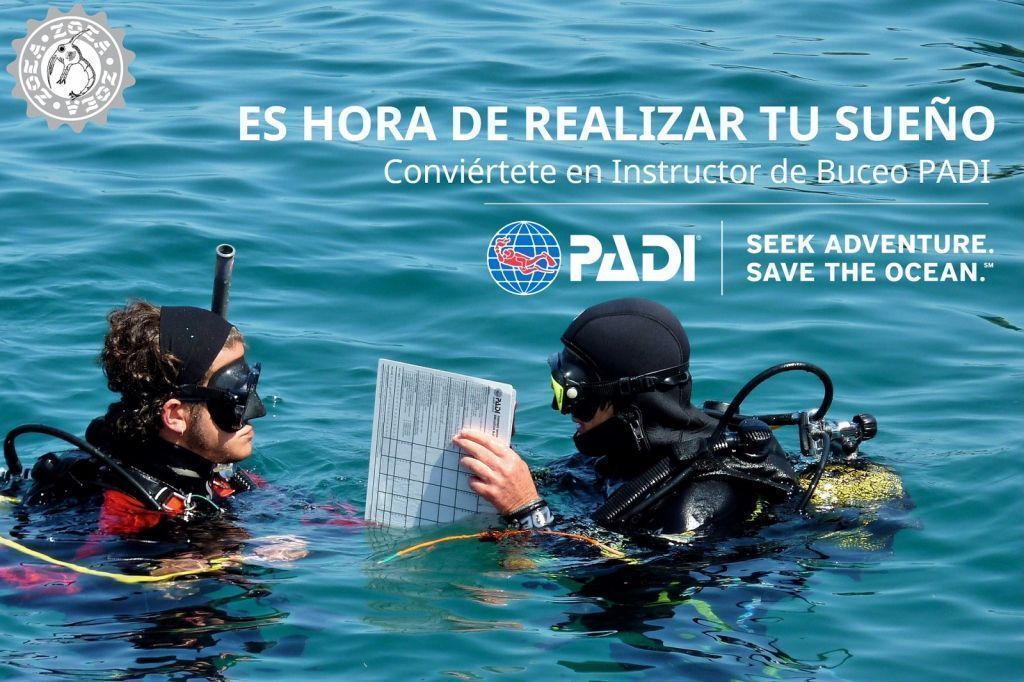 Curso de Instructor de Buceo PADI en Madrid