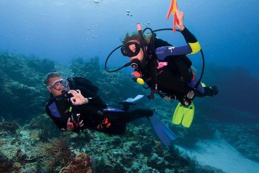 Curso de Buceo Open Water Diver PADI Curso de Buceo Open Water Diver PADI