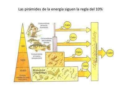 Esquema Ley 10%