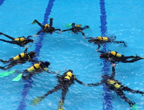 ¿Dónde hacer un curso de buceo en Madrid?
