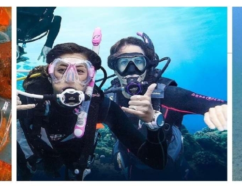 Diferencias entre Buceo Recreativo, Profesional y Científico